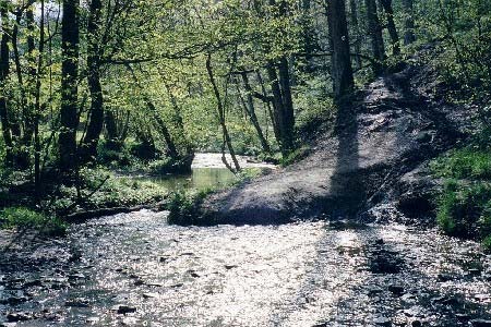 Secluded ford in the Wyre Forest