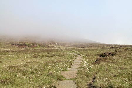 The stone flagged path to the summit of the Cheviot