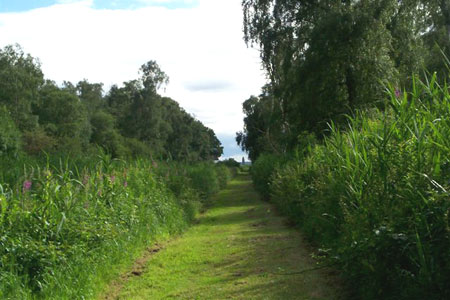 A typical path or 