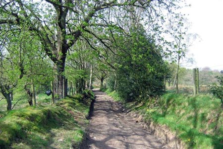 Green Lane near Disley