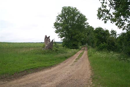 Start of the farm track heading Northeast to Ayot Lodge