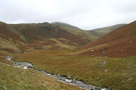 Nether Beck and Haycock