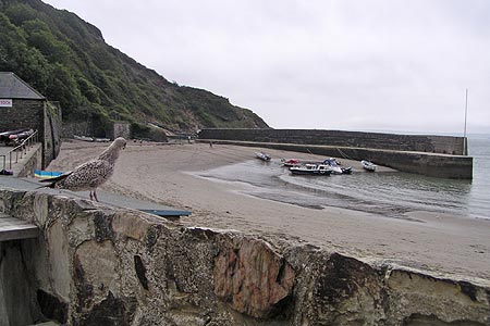 Pilchard Harbour at Polkerris