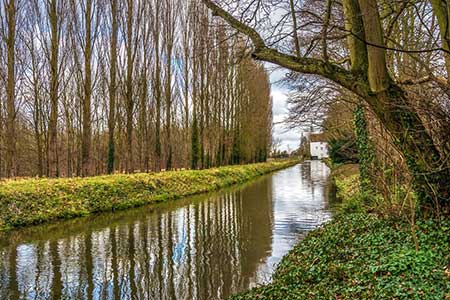 Quy Water and Lode Mill