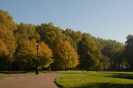Autumn colour in Green Park, London
