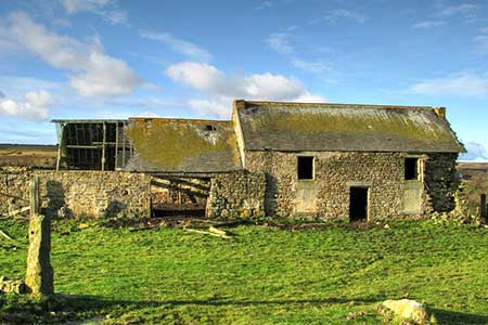 Ruins of Cushat Leazes Farm, Durham