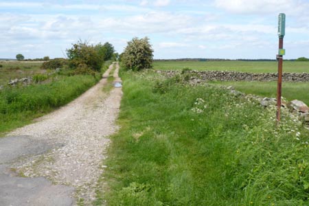 Ripon Rowel Walk - Drift Lane