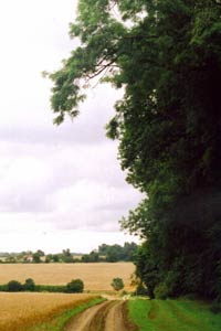 The Hertfordshire Way approaching Gravesend