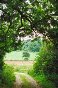 The Hertfordshire Way beyond Patmore Heath