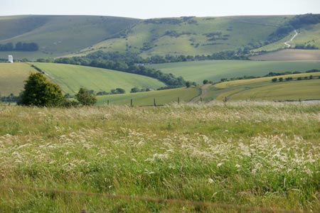 South Downs Way near Lewes