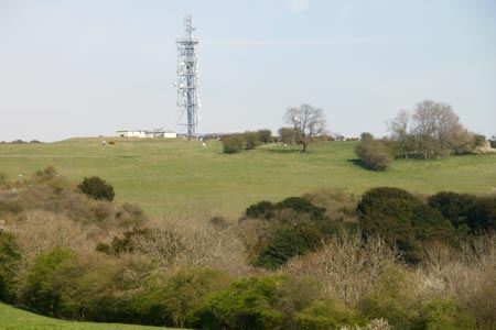 Radio mast on Butser Hill