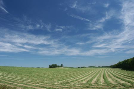 Hay fields dry in summer sunshine near Hanyards Farm