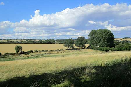 Grassland and wheat fields near Braunston in Rutland