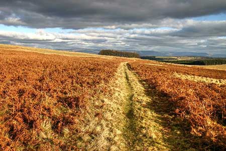 Photo from the walk - Askham Fell from Lowther Castle