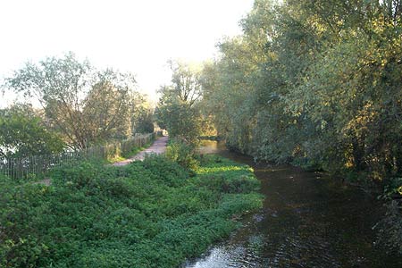 Stanborough Park - looking downstream at the River Lea