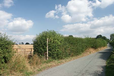 The route of a Roman Road near Sutton