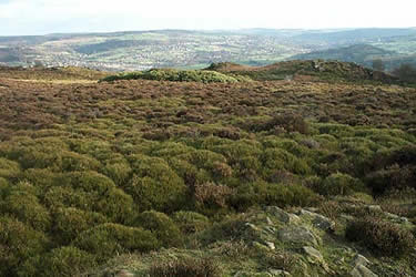 Stanton Moor is small in area but has excellent views