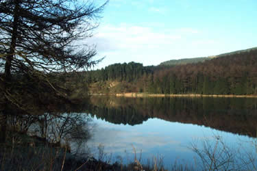 Trentabank Reservoir, Macclesfield Forest