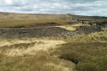 Path from South Head to Brown Knoll across moors