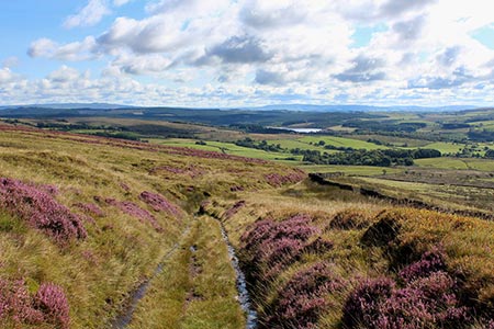 Photo from the walk - Dunsop Fell & the Forest of Bowland