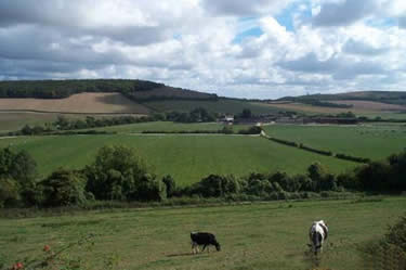 Looking back to Whitewool Farm from the South Downs Way