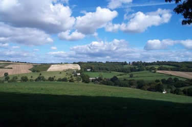 View to Drayton Cottages after Horsedown Farm