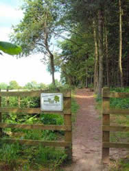 Elkin wood is a Coventry Nature Conservation Site (CNCS)