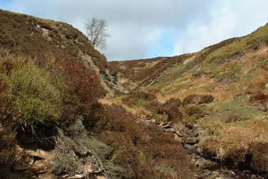 A side valley on the moors above Nidderdale