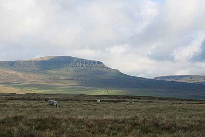 Pen-y-ghent from near Sulber Nick