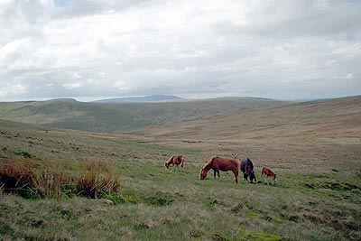 View to Fan Gyhirych with Black Mountain beyond