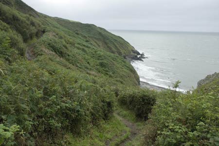 Ceredigion Coastal Path near New Quay