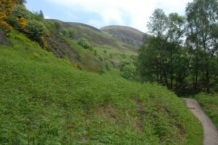 The first view of Conic Hill after leaving the woodland
