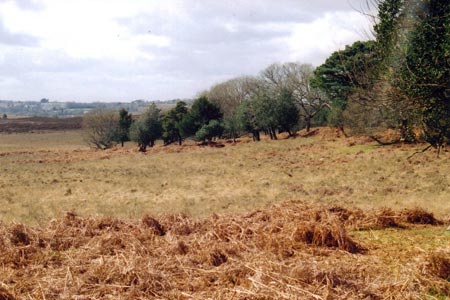 The border of Sloden Inclosure