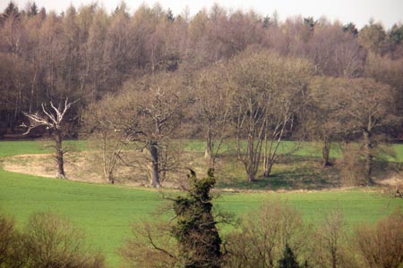 Fields and woodland between Amersham Road and Seer Green