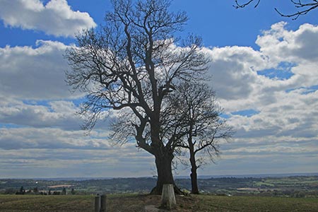 Trig point by the North Downs Way