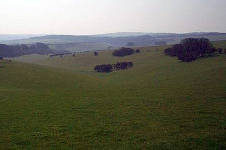 Looking South from the SDW after Plumpton Plain
