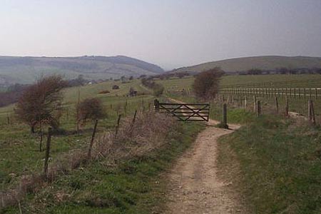 A look back to the Downs close near Pyecombe