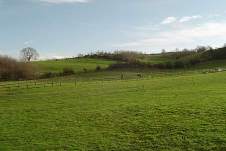 Paddocks abound in this prosperous part of Worcestershire