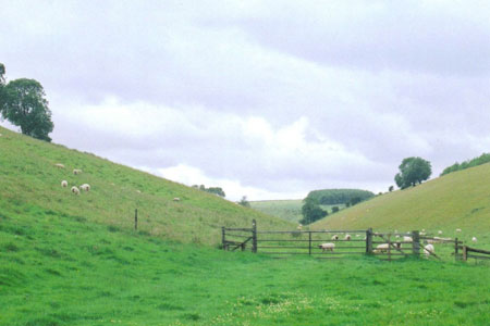 Photo from the walk - Circular from Thixendale through Kirby Underdale