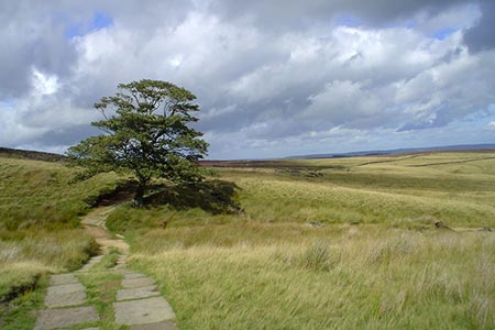 View north along Pennine Way near Top Withins