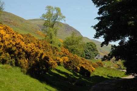 The path under the south face of Dumyat