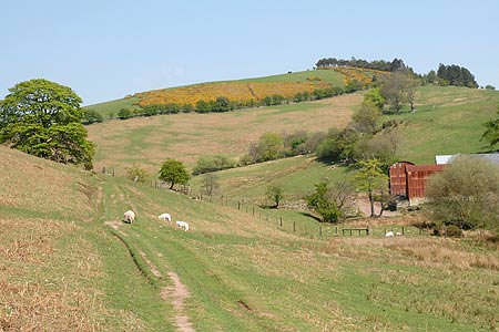The Shropshire Way approaching Lower Darnford Farm
