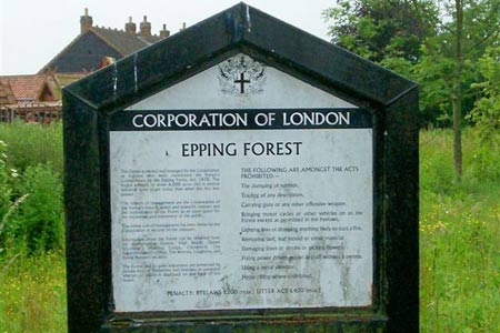 Start of the walk and into Epping Forest��
