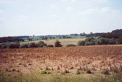 Ayot Green - view southeast from Robinson's Wood