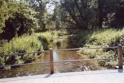 Ayot Green - view downstream on River Lea