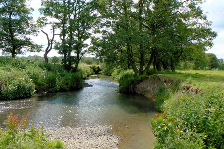 The River Ecclesbourne near Duffield