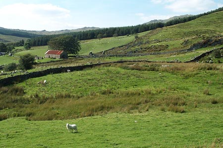 Pleasant countryside above Rhydymain