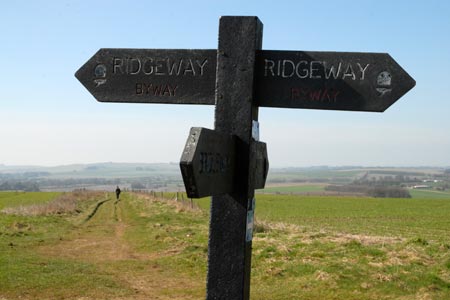 The Ridgeway on Overton Down