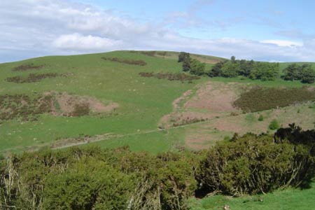 View of Cwm-sanaham Hill