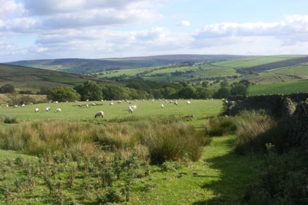 Looking back to Lothersdale